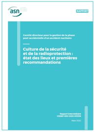 Rapport intermédiaire du GT Culture